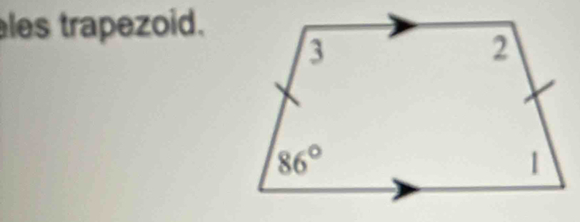 les trapezoid.