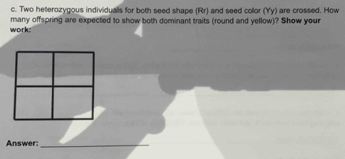 Two heterozygous individuals for both seed shape (Rr) and seed color (Yy) are crossed. How 
many offspring are expected to show both dominant traits (round and yellow)? Show your 
work: 
Answer:_