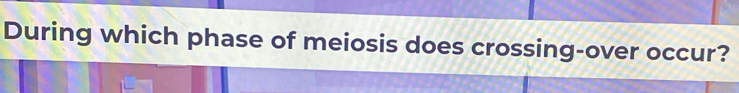 During which phase of meiosis does crossing-over occur?