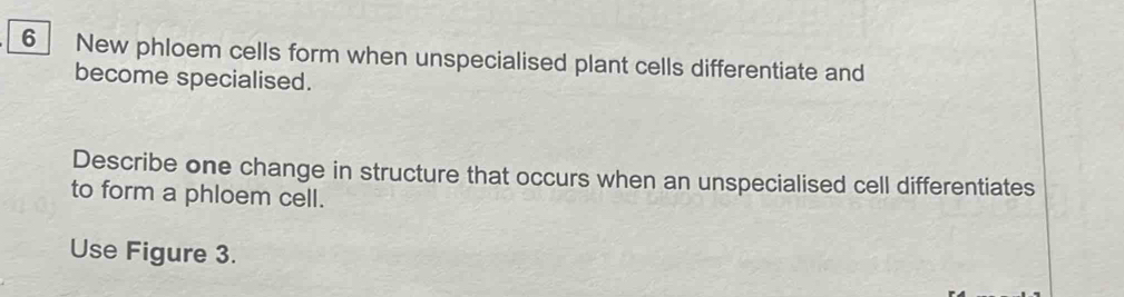 Solved: New phloem cells form when unspecialised plant cells ...