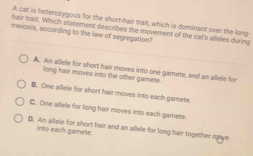 A cat is heterozygous for the short-hair trait, which is dominant over the long-
hair trait. Which statement describes the movement of the cat's alleles during
meiosis, according to the law of segregation?
A. An allele for short hair moves into one gamete, and an allele for
long hair moves into the other gamete.
B. One allele for short hair moves into each gamete.
C. One allele for long hair moves into each gamete.
D. An allele for short hair and an allele for long hair together move
into each gamete.