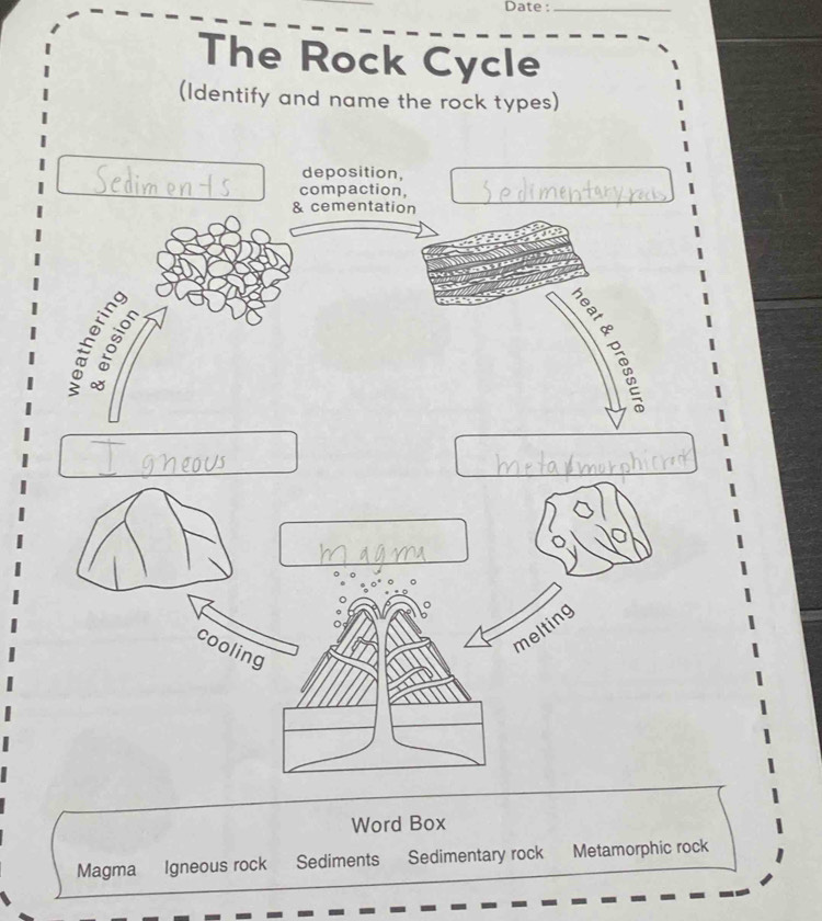 Date :_ 
The Rock Cycle 
(Identify and name the rock types) 
deposition, 
compaction, 
& cementation 
o 
melting 
cooling 
Word Box 
Magma Igneous rock Sediments Sedimentary rock Metamorphic rock