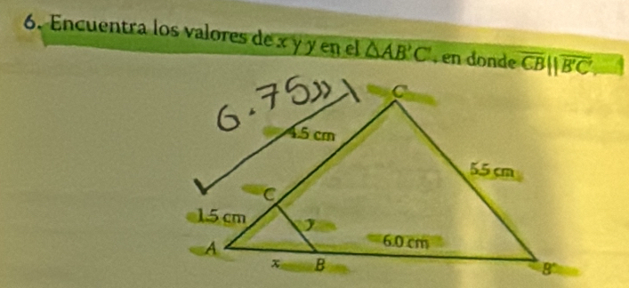 Encuentra los valores de x y y en el △ AB'C' , en donde overline CB||overline B'C',