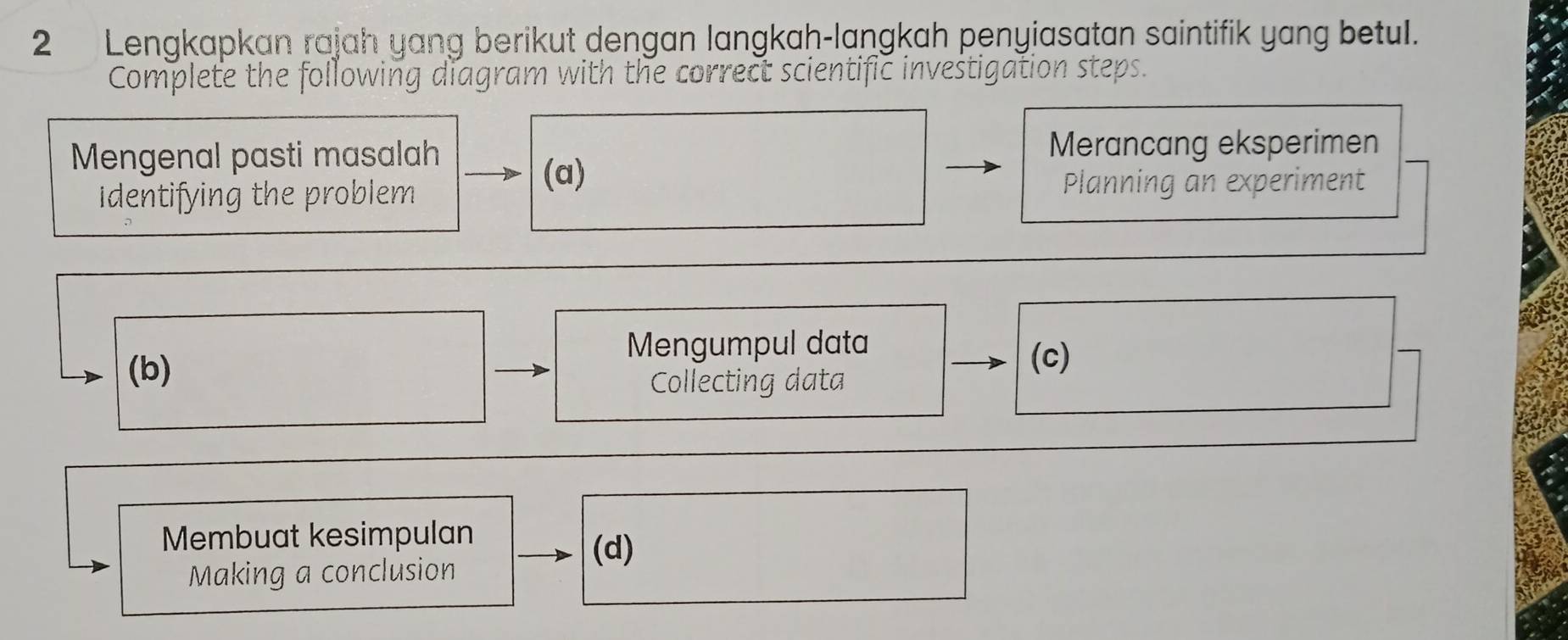 Lengkapkan rajah yang berikut dengan langkah-langkah penyiasatan saintifik yang betul.
Complete the following diagram with the correct scientific investigation steps.
Mengenal pasti masalah
Merancang eksperimen
(a)
identifying the problem Planning an experiment
Mengumpul data
(b)
(c)
Collecting data
Membuat kesimpulan
(d)
Making a conclusion