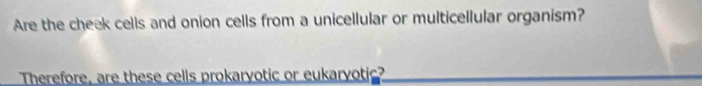 Are the cheek cells and onion cells from a unicellular or multicellular organism? 
Therefore, are these cells prokaryotic or eukaryotic?