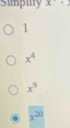 Simpiny x·
1
x^4
x^9
x^(20)