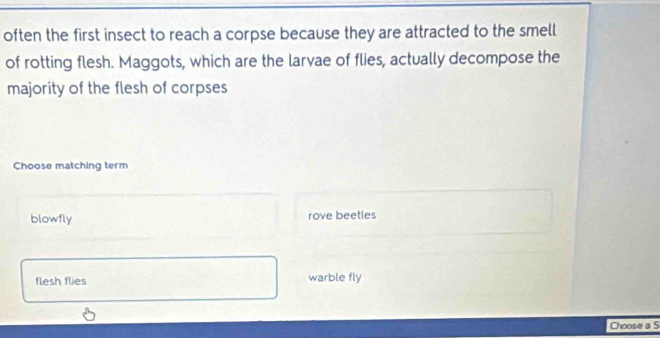 often the first insect to reach a corpse because they are attracted to the smell
of rotting flesh. Maggots, which are the larvae of flies, actually decompose the
majority of the flesh of corpses
Choose matching term
blowfly rove beetles
flesh flies warble fly
Choose a S