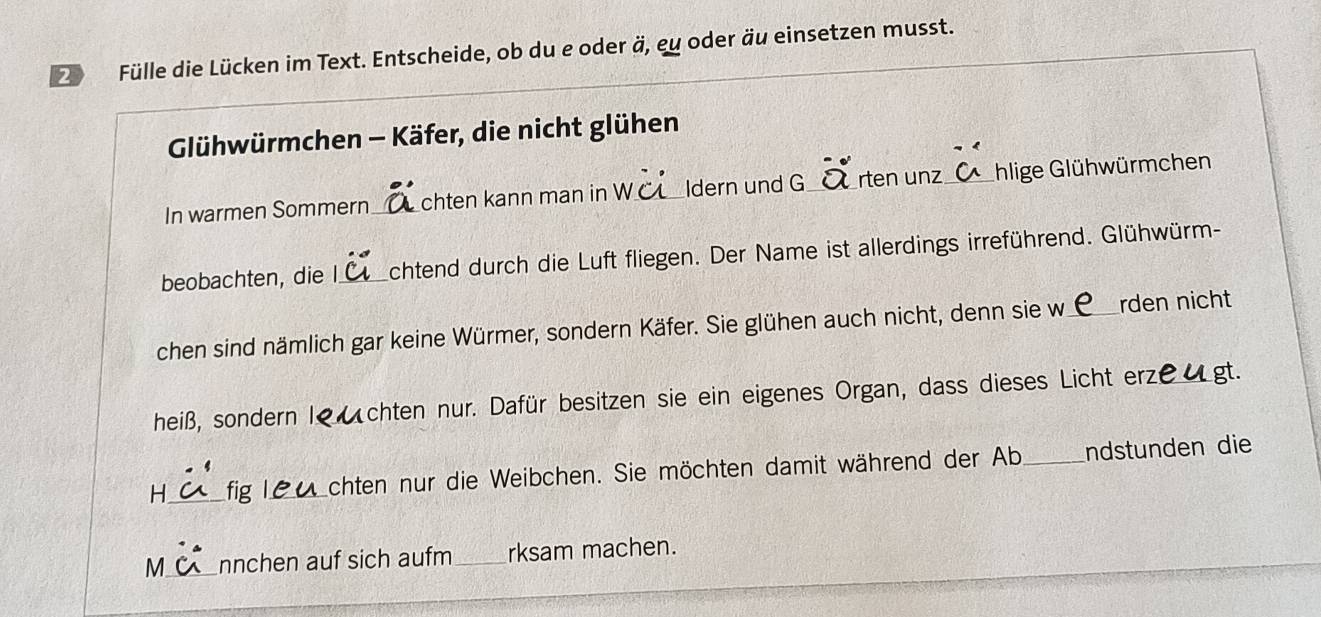 Fülle die Lücken im Text. Entscheide, ob du e oder ä, eu oder äu einsetzen musst. 
Glühwürmchen - Käfer, die nicht glühen 
In warmen Sommern_ chten kann man in W_ Idern und G rten unz _hlige Glühwürmchen 
beobachten, die I_ chtend durch die Luft fliegen. Der Name ist allerdings irreführend. Glühwürm- 
chen sind nämlich gar keine Würmer, sondern Käfer. Sie glühen auch nicht, denn sie w_ rden nicht 
heiß, sondern I R üchten nur. Dafür besitzen sie ein eigenes Organ, dass dieses Licht erze _gt. 
H_ fig leu chten nur die Weibchen. Sie möchten damit während der Ab _Indstunden die 
M_ nnchen auf sich aufm_ rksam machen.