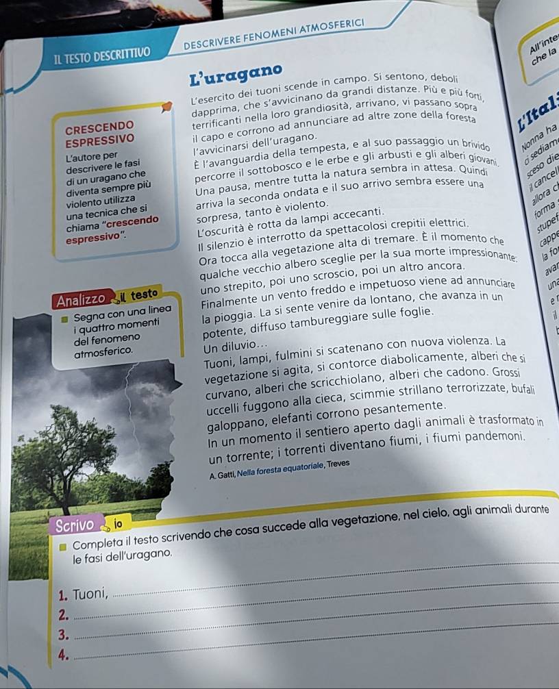 IL TESTO DESCRITTIVO DESCRIVERE FENOMENI ATMOSFERICI
All´inte
chela
L’uragano
L’esercito dei tuoni scende in campo. Si sentono, deboli
dapprima, che s'avvicinano da grandi distanze. Più e più forti,
CRESCENDO terrificanti nella loro grandiosità, arrivano, vi passano sopra
ESPRESSIVO il capo e corrono ad annunciare ad altre zone della foresta L'Ital
l’avvicinarsi dell’uragano.
di un uragano che descrivere le fasi È l'avanguardia della tempesta, e al suo passaggio un brivido Nonna ha
L'autore per
diventa sempre più percorre il sottobosco e le erbe e gli arbusti e gli alberi giovani.  sediam
violento utilizza Una pausa, mentre tutta la natura sembra in attesa. Quindi ceso de
allora c
una tecnica che si arriva la seconda ondata e il suo arrivo sembra essere una il cancel
forma
espressivo”. sorpresa, tanto è violento.
L'oscurità è rotta da lampi accecanti.
chiama “crescendo
Il silenzio è interrotto da spettacolosi crepitii elettrici.
stuper
Ora tocca alla vegetazione alta di tremare. È il momento che capp
qualche vecchio albero sceglie per la sua morte impressionante: la fo.
Analizzo il testo uno strepito, poi uno scroscio, poi un altro ancora.
avar
Segna con una linea Finalmente un vento freddo e impetuoso viene ad annunciare und
del fenomeno i quattro momenti la pioggia. La si sente venire da lontano, che avanza in un
er
potente, diffuso tambureggiare sulle foglie.
a
atmosferico. Un diluvio...
Tuoni, lampi, fulmini si scatenano con nuova violenza. La
vegetazione si agita, si contorce diabolicamente, alberi che si
curvano, alberi che scricchiolano, alberi che cadono. Grossi
uccelli fuggono alla cieca, scimmie strillano terrorizzate, bufali
galoppano, elefanti corrono pesantemente.
In un momento il sentiero aperto dagli animali è trasformato in
un torrente; i torrenti diventano fiumi, i fiumi pandemoni.
A. Gatti, Nella foresta equatoriale, Treves
Scrivo Completa il testo scrivendo che cosa succede alla vegetazione, nel cielo, agli animali durante
io
le fasi dell'uragano.
_
1. Tuoni,
_
2.
3.
_
4.
_