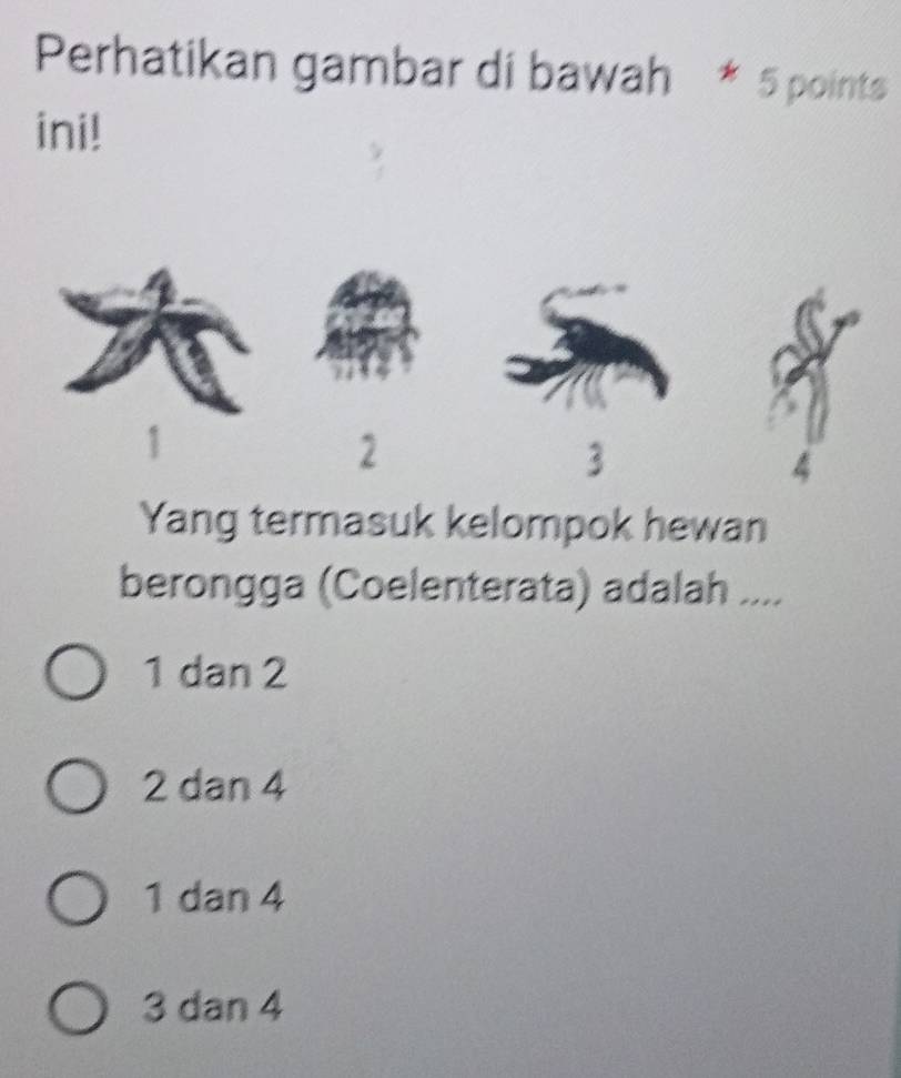 Perhatikan gambar di bawah * 5 points
ini!
2
3
4
Yang termasuk kelompok hewan
berongga (Coelenterata) adalah ....
1 dan 2
2 dan 4
1 dan 4
3 dan 4