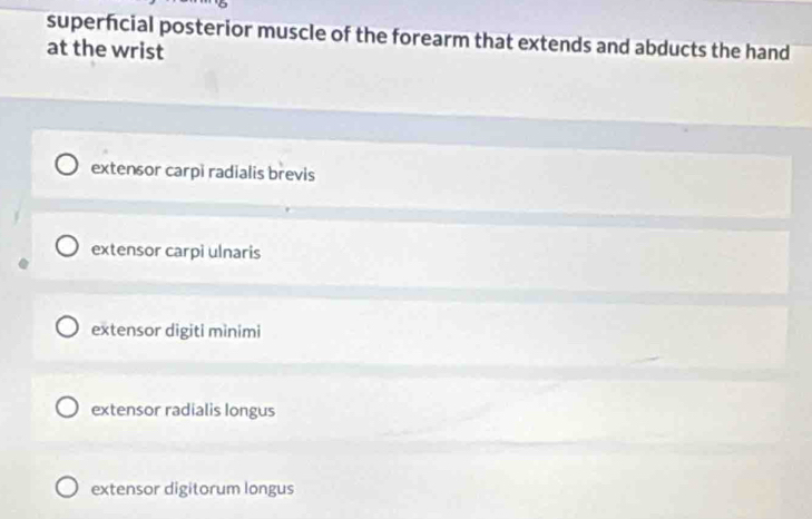 superficial posterior muscle of the forearm that extends and abducts the hand
at the wrist
extensor carpi radialis brevis
extensor carpi ulnaris
extensor digiti minimi
extensor radialis Iongus
extensor digitorum longus