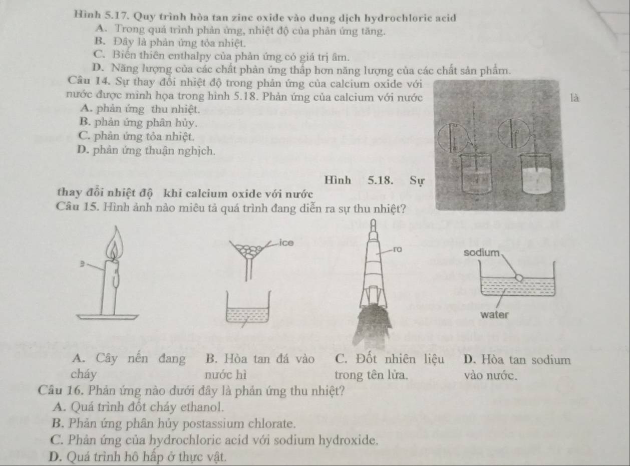 Hình 5.17. Quy trình hòa tan zinc oxide vào dung dịch hydrochloric acid
A. Trong quá trình phản ứng, nhiệt độ của phản ứng tăng.
B. Đây là phản ứng tỏa nhiệt.
C. Biến thiên enthalpy của phản ứng có giá trị âm.
D. Năng lượng của các chất phản ứng thắp hơn năng lượng của các chất sản phẩm.
Câu 14. Sự thay đổi nhiệt độ trong phản ứng của calcium oxide với
nước được minh họa trong hình 5.18. Phản ứng của calcium với nướclà
A. phản ứng thu nhiệt.
B. phản ứng phân hủy.
C. phản ứng tỏa nhiệt.
D. phản ứng thuận nghịch.
Hình 5.18. Sự
thay đổi nhiệt độ khi calcium oxide với nước
Câu 15. Hình ảnh nào miêu tả quá trình đang diễn ra sự thu nhiệt?
ice
B
A. Cây nến đang B. Hòa tan đá vào C. Đốt nhiên liệu D. Hòa tan sodium
cháy nước hì trong tên lửa. vào nước.
Câu 16. Phản ứng nào dưới đây là phản ứng thu nhiệt?
A. Quá trình đốt cháy ethanol.
B. Phản ứng phân hủy postassium chlorate.
C. Phản ứng của hydrochloric acid với sodium hydroxide.
D. Quá trình hô hấp ở thực vật.