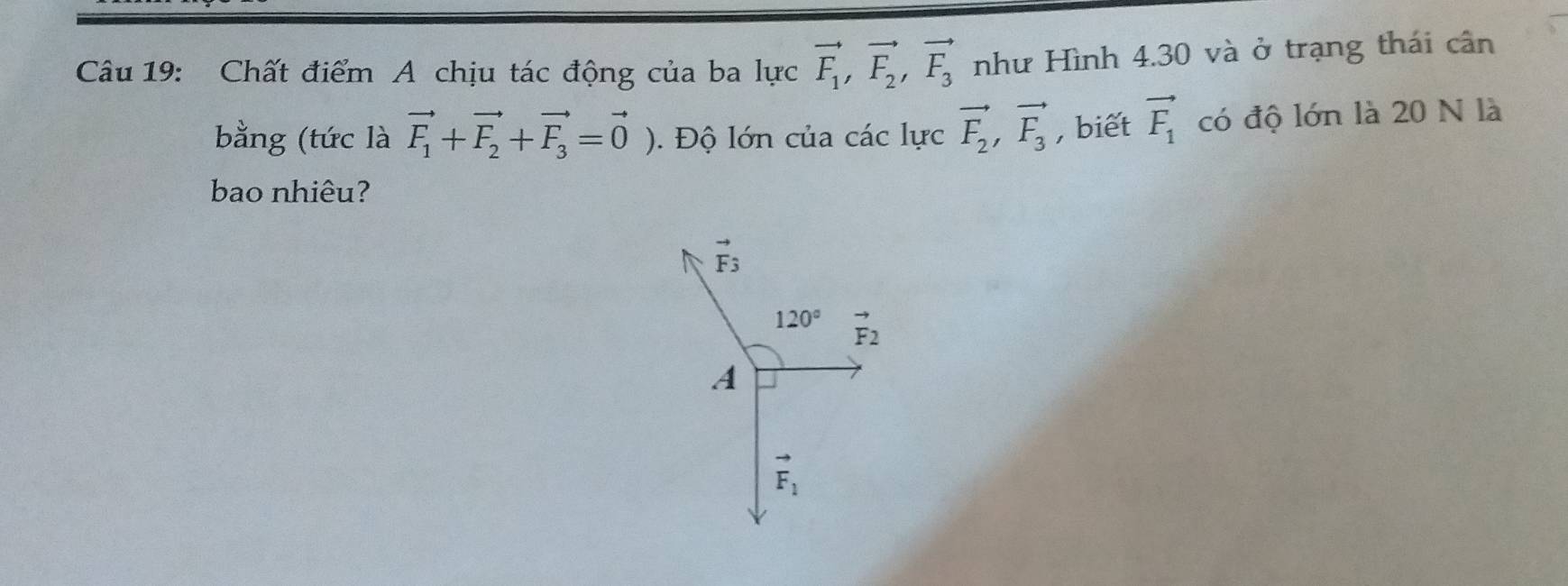 Chất điểm A chịu tác động của ba lực vector F_1, vector F_2, vector F_3 như Hình 4.30 và ở trạng thái cân
bằng (tức là vector F_1+vector F_2+vector F_3=vector 0). Độ lớn của các lực vector F_2, vector F_3 , biết vector F_1 có độ lớn là 20 N là
bao nhiêu?
vector F_3
120° vector F_2
A
vector F_1