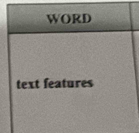 WORD 
text features