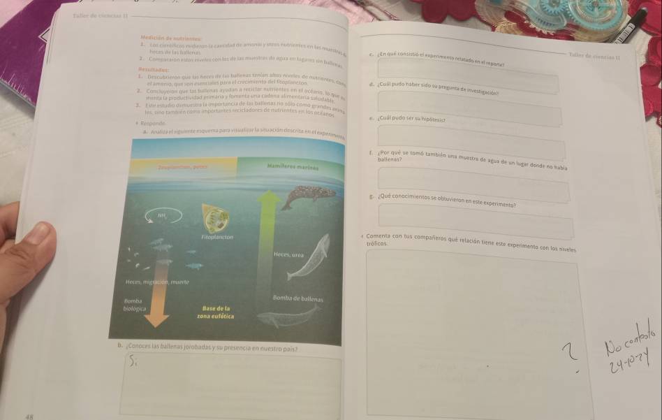faller de cocncias II 
2 Los cuídicas midiero la cansulad de amarn y ires outremes en las muestos c. ¿En qué consistió el expermento relatado en el repore) 
Tulles de ciencias UI 
2 . ' Comnararón estas níveles con las de las muestras de agaz en higans sin hallers 
el amarad, qun ape esensiales para el crecumento del fisontanc con 
Descubrieren que las peces de lsa bañenas téhéon sitas diveles de duarentes, tue d. ¿Cuál pudo naber sido su pregunta de investigación? 
2 Concloyeron que las balionas ayodan a recistar nutrientes en el océaro, la que e 
menta la pioductividad mimaría » fomenta una cadena alimentaría saloi 
3. I de estudio demuestra ia impurtancia de las ballenas no eslo como grandes ane 
les, sino también co importantes recicladores de nufrientes en los océ ano e ¿Cuál pudo ser su hipótesis 
* Respande 
era para visualizar la sinuación descrit 
f. ¿Por qué se tomó también una muestra de agua de un lugar donde no habia 
patlems? 
g ¿Qué conacimientos se obtuvieran en este experimenta? 
traficas 
# Comenta con tus compañeros que relación tiene este experimento con los niveles 
esencia en nuestro pais?