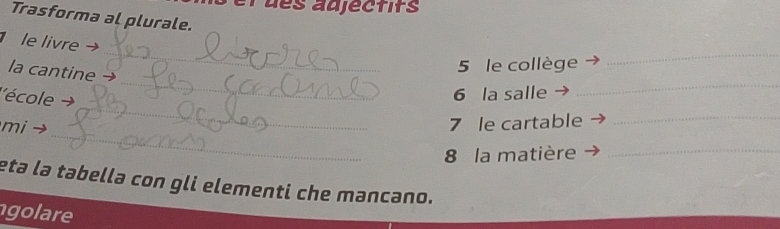 el des adjéctifs 
Trasforma al plurale. 
_ 
le livre → 
_ 
5 le collège 
_ 
la cantine a 
_ 
''école + 
6 la salle 
_ 
_ 
mi → 
7 le cartable_ 
8 la matière_ 
eta la tabella con gli elementi che mancano. 
golare