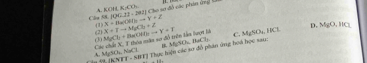 A. KOH, K_2CO_3. B. B
Câu 58. X+Ba(OH)_2to Y+Z [QG.22-202] Cho sơ đồ các phản ứng số
(1) D. MgO, HCl
(2)
(3) MgCl_2+Ba(OH)_2to Y+T X+Tto MgCl_2+Z
Các chất X, T thỏa mãn sơ đồ trên lần lượt là C. MgSO_4 a HC
B. MgSO_4.BaCl_2.
50JKNTT-SBT] ' Thực hiện các sơ đồ phân ứng hoá học sau:
A. MgSO_4 aCl. 
11.