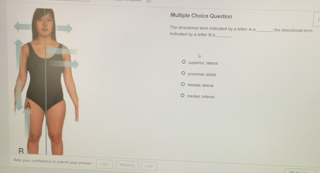 Solved: Question The directional term indicated by a letter A is_ ; the ...