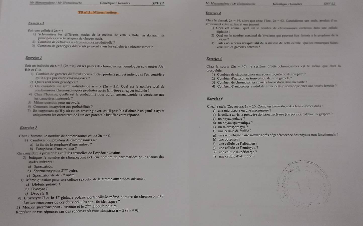 Mr Messaoudene / Mr Hamadouche Génétique / Genetics SNV L2  Mr Messaudene / Mr Hamsdauche  Génétique / Genetics SNV L3
TD n° 3 : Mitoxe / mélose Exercice 4
Chez le cheval, 2n-64 4, alors que chez l'âne, 2n=62 Considérons une male, produit d'us
Exercice I croisement entre un âne et une jument
Soit une cellule à 2n = 4 1) Chez cet animal, quel est le nombre de chromosomes contenus dans une cellule
diploïde ?
1) Schématiser les différents stades de la méiose de cette cellule, en donnant les 2) Quel est le nombre maximal de bivalents qui peuvent être formés à la prophase de la
principales caractéristiques de chaque stade  méiose ?
2) Combien de cellules à n chromosomes produit-elle ?  3) Faites un schéma récapitulatif de la méiose de cette cellule. Quelles remarques faites
3) Combien de génotypes différents peuvent avoir les cellules à n chromosomes ? vous sur les gamètes obtenus ?
Exercice 2 Exercice 5
Soit un individu où n=3(2n=6) ), où les paires de chromosomes homologues sont notées A/a, Chez la souris drosophile. 0, le système d'hétérochromosomes est le même que chez la
(2n=40)
B b c Cic
1) Combien de gamètes diffèrents peuvent être produits par cet individu si l'on considère 1) Combien de chromosomes une souris reçoit-elle de son père ?
qu'il n'y a pas eu de crossing-over ? 2) Combien d'autosomes trouve-t-on dans un gamète ?
2) Quels sont leurs génotypes ? 3) Combien de chromosomes sexuels trouve-t-on dans un ovule ?
3) On considère un autre individu où n=x(2n=2x). Quel est le nombre total de 4) Combien d'autosomes y a-t-il dans une cellule somatique chez une souris femelle ?
combimaisons chromosomiques produites après la méiose chez cet individu ?
4) Chez l'homme, quelle est la probabilité pour qu'un spermatozoïde ne contienne que Exercice 6
les caractères maternels ?
5) Même question pour un ovule.
6) Comment interpréter ces probabilités ? Chez le maïs (Zea mays), 2n=20 Combien trouve-t-on de chromosomes dans
7) En supposant qu'il y ait eu un crossing-over, est-il possible d'obtenir un gamète ayant a) une microspore ou une macrospore ?
uniquement les caractères de l'un des parents ? Justifier votre réponse. b) la cellule après la première division nucléaire (caryocinèse) d'une mégaspore ?
c) un noyau polaire ?
d) un noyau spermatique ?
Exercice 3 e) un microsporocyte 
f) une cellule de feuille ?
Chez i'homme, le nombre de chromosomes est de 2n=46. g)  un sac embryonnaire mature après dégénérescence des noyaux non fonctionnels ?
1) Combien compte-t-on de chromosomes à h) une oosphère ?
a) la fin de la prophase d'une mitose ? i) une cellule de l'albumen ?
b) l'anaphase d'une mitose ? j) une cellule de l'embryon ?
On considère à présent les cellules sexuelles de l'espèce humaine. k) une cellule du péricarpe ?
2) Indiquer le nombre de chromosomes et leur nombre de chromatides pour chacun des l) une cellule d'aleurone ?
stades suivants .
a) Spermatide.
b) Spermatocyte de 2^(cme) ordre
c) Spermatocyte de 1^(cr) ordre
3) Même question pour une cellule sexuelle de la femme aux stades suivants :
a) Globule polaire 1
b) Ovocyte I
c) Ovocyte II.
4) L'ovocyte II et le 1^(cd) globule polaire portent-ils le même nombre de chromosomes ?
Les chromosomes de ces deux cellules sont-ils identiques ?
5) Mêmes questions pour l'ovotide et le 2^(tmt) globule polaire.
Représenter vos réponses sur des schémas où vous choisirez n=2(2n=4).