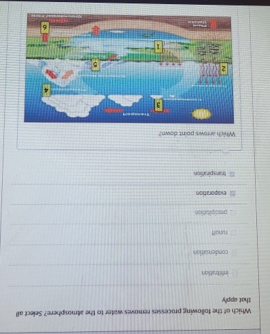 Which of the following processes removes water to the atmosphere? Select all
that apply
infiltration
condensation
runoff
precipitation
evaporation
transpiration
Which arrows point down?