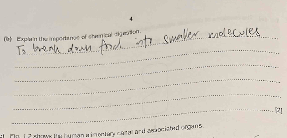 4 
_ 
_ 
(b) Explain the importance of chemical digestion. 
_ 
_ 
_ 
_ 
_[2] 
Fig 1.2 shows the human alimentary canal and associated organs.