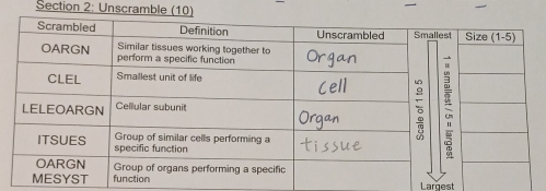 Unscramble (10)
Largest