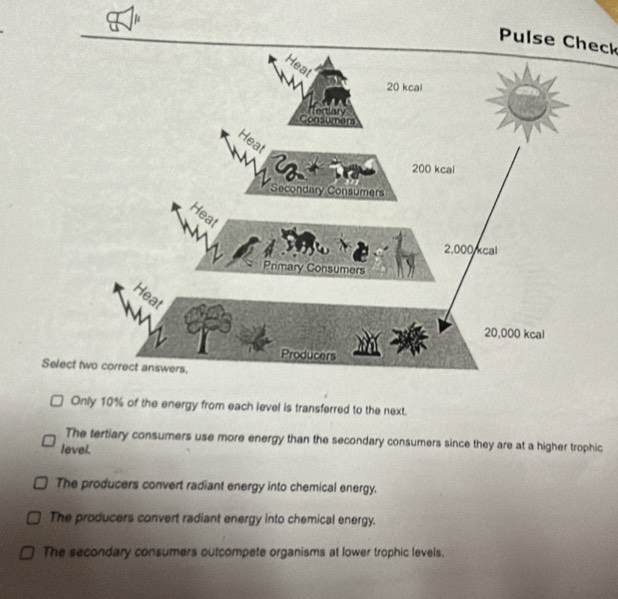 Pulse Check
Select t
Only 10% of the energy from each level is transferred to the next.
The tertiary consumers use more energy than the secondary consumers since they are at a higher trophic
level.
The producers convert radiant energy into chemical energy.
The producers convert radiant energy into chemical energy.
The secondary consumers outcompete organisms at lower trophic levels.