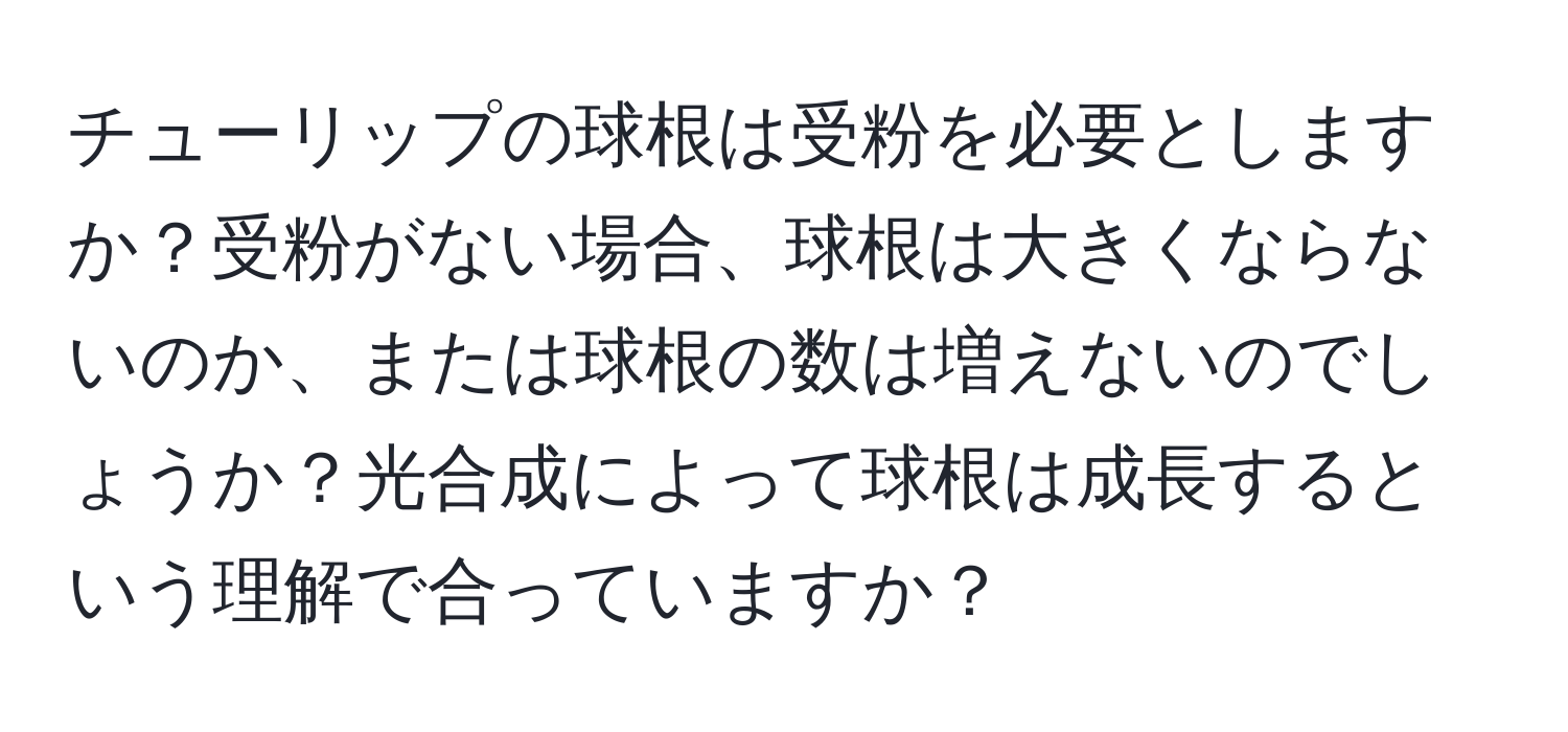 チューリップの球根は受粉を必要としますか？受粉がない場合、球根は大きくならないのか、または球根の数は増えないのでしょうか？光合成によって球根は成長するという理解で合っていますか？