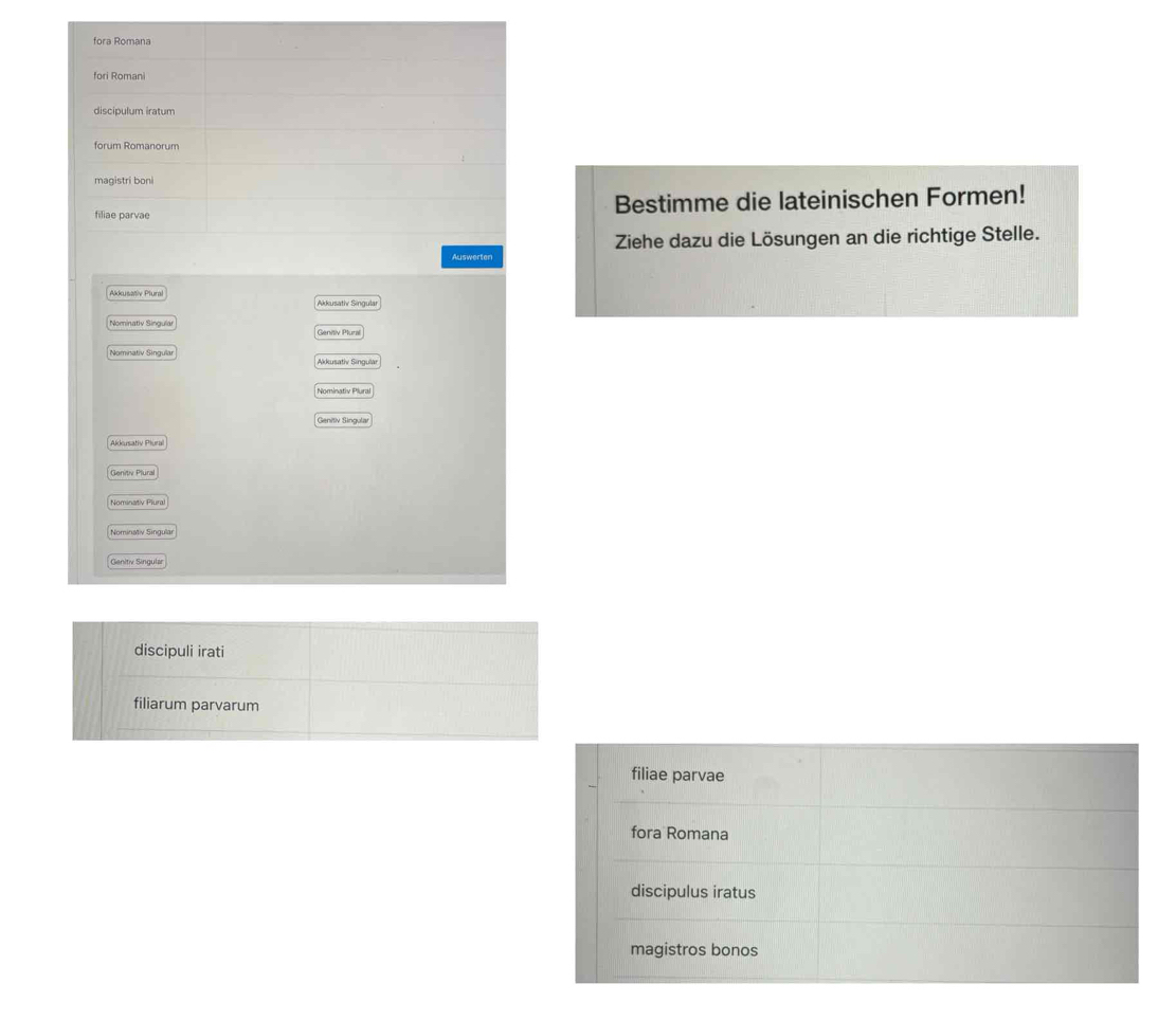 Bestimme die lateinischen Formen!
Auswerten Ziehe dazu die Lösungen an die richtige Stelle.
Akkusativ Plural
Nominatly Singula Genitiv Plural
Nominativ Singula Akkusativ Singulav
Nominativ Plural
Genitiv Singular
Akkusativ Plural
Genitiv Plura
Nominativ Plura
Nominativ Singula
Genitix Singular
discipuli irati
filiarum parvarum
filiae parvae
fora Romana
discipulus iratus
magistros bonos