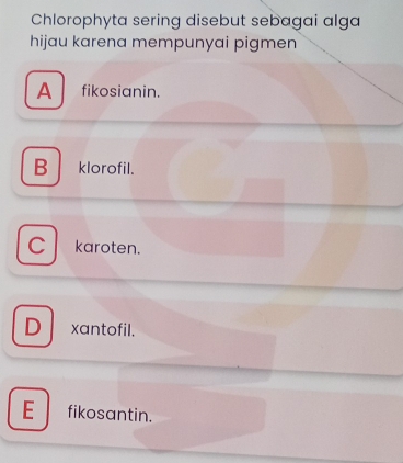 Chlorophyta sering disebut sebagai alga
hijau karena mempunyai pigmen
A fikosianin.
B klorofil.
C karoten.
D xantofil.
E fikosantin.