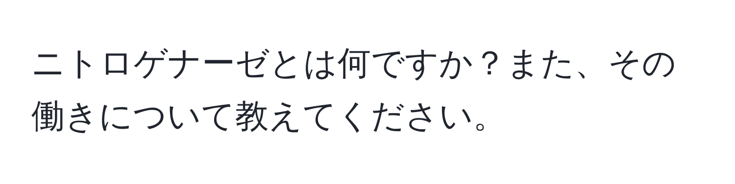 ニトロゲナーゼとは何ですか？また、その働きについて教えてください。