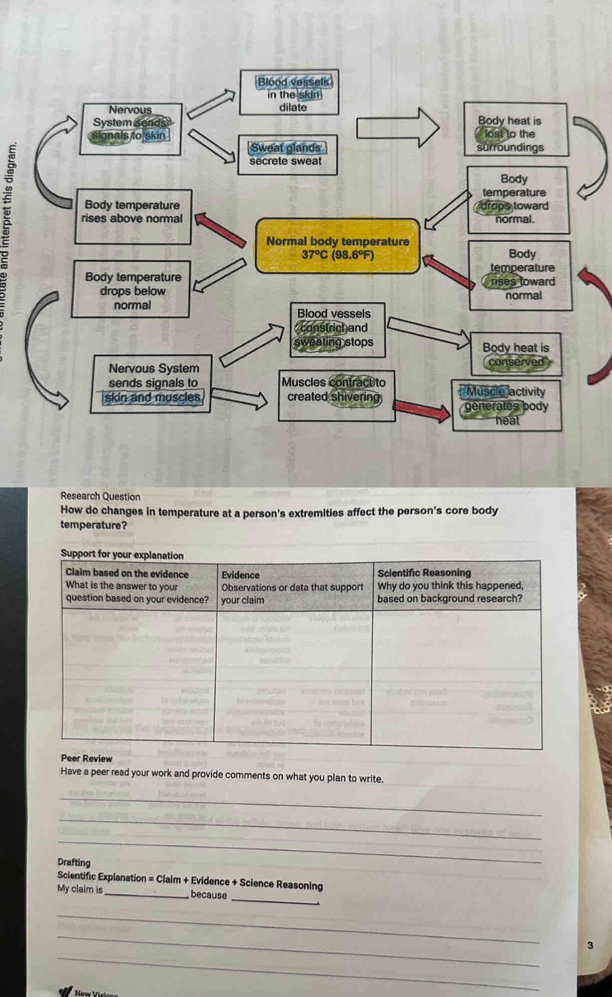 Blood vessels 
in the skin 
Nervous dilate 
System sends Body heat is 
ignals to skin lost to the 
Sweat glands surroundings 
secrete sweat 
Body 
; Body temperature drops toward 
temperature 
rises above normal normal. 
Normal body temperature
37°C(98.6°F) Body 
temperature 
Body temperature 
drops below rises toward 
normal 
normal 
Blood vessels 
( constrict and 
sweating stops 
Body heat is 
Nervous System 
conserved 
sends signals to Muscles contract to Muscle activity 
skin and muscles created shivering 
generates body 
heat 
Research Question 
How do changes in temperature at a person's extremities affect the person's core body 
temperature? 
Have a peer read your work and provide comments on what you plan to write. 
_ 
_ 
_ 
Drafting 
Scientific Explanation = Claim + Evidence + Science Reasoning 
_ 
My claim is_ because 
_ 
_ 
_ 
3