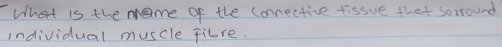 What is the mame of the connective tissue that sorround 
individual muscle fibre.
