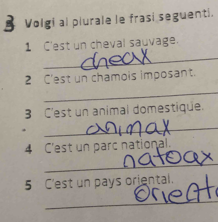Volgi al plurale le frasi seguenti. 
1 C'est un cheval sauvage. 
_ 
2 C'est un chamois imposant. 
_ 
3 C'est un animal domestique. 
_ 
4 C'est un parc national. 
_ 
5 C'est un pays orjental. 
_ 
ay