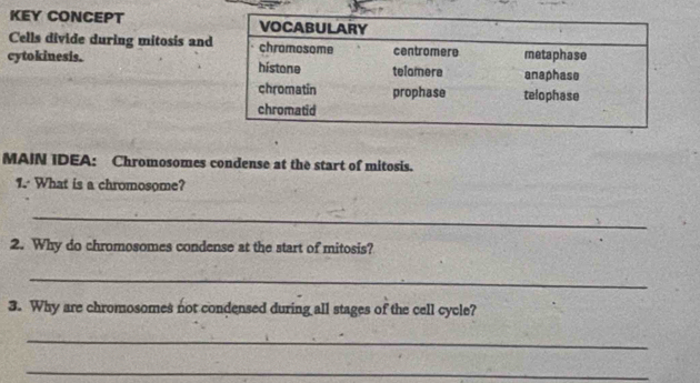 KEY CONCEPT 
Cells divide during mitosis and 
cytokinesis. 
MAIN IDEA: Chromosomes condense at the start of mitosis. 
1. What is a chromosome? 
_ 
2. Why do chromosomes condense at the start of mitosis? 
_ 
3. Why are chromosomes not condensed during all stages of the cell cycle? 
_ 
_