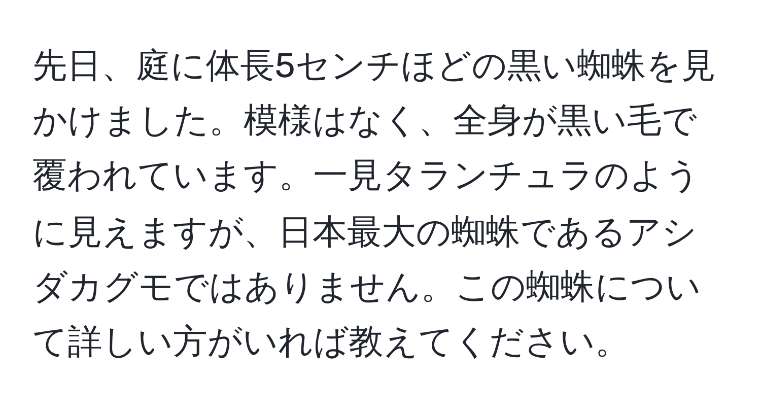 先日、庭に体長5センチほどの黒い蜘蛛を見かけました。模様はなく、全身が黒い毛で覆われています。一見タランチュラのように見えますが、日本最大の蜘蛛であるアシダカグモではありません。この蜘蛛について詳しい方がいれば教えてください。