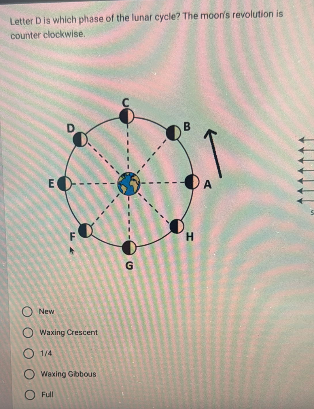 Letter D is which phase of the lunar cycle? The moon's revolution is
counter clockwise.
S
New
Waxing Crescent
1/4
Waxing Gibbous
Full