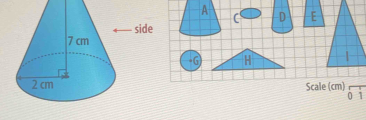 C D E
Scale (cm) 
0 1