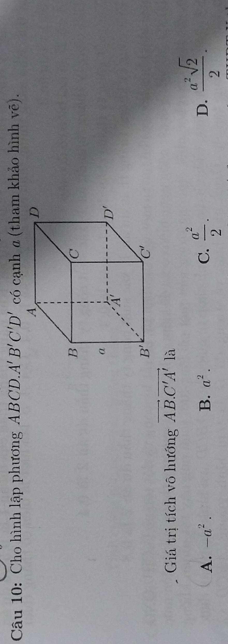 Cho hình lập phương ABCD. A'B'C'D' có cạnh α (tham khảo hình Voverline e).
Giá trị tích vô hướng vector AB.vector C'A' là
A. -a^2. B. a^2. C.  a^2/2 . D.  a^2sqrt(2)/2 .