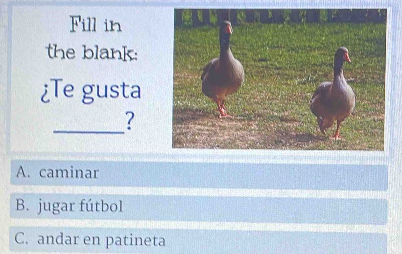 Fill in
the blank:
¿Te gusta
_?
A. caminar
B. jugar fútbol
C. andar en patineta