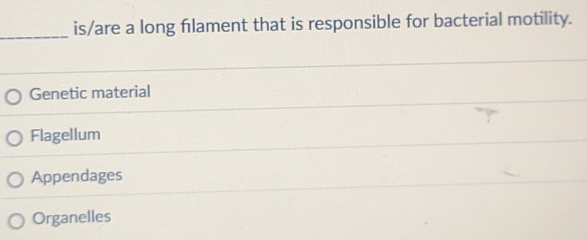 is/are a long flament that is responsible for bacterial motility.
Genetic material
Flagellum
Appendages
Organelles