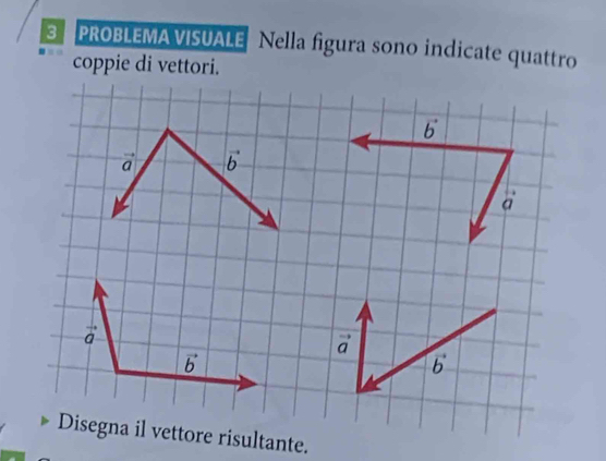 PROBLEMA VISUALE Nella figura sono indicate quattro 
coppie di vettori.
vector b
vector a vector b
vector a
vector a
vector a
vector b
vector b
Disegna il vettore risultante.