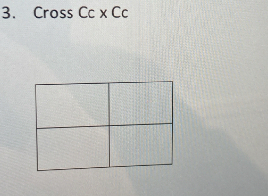 Cross Cc x Cc