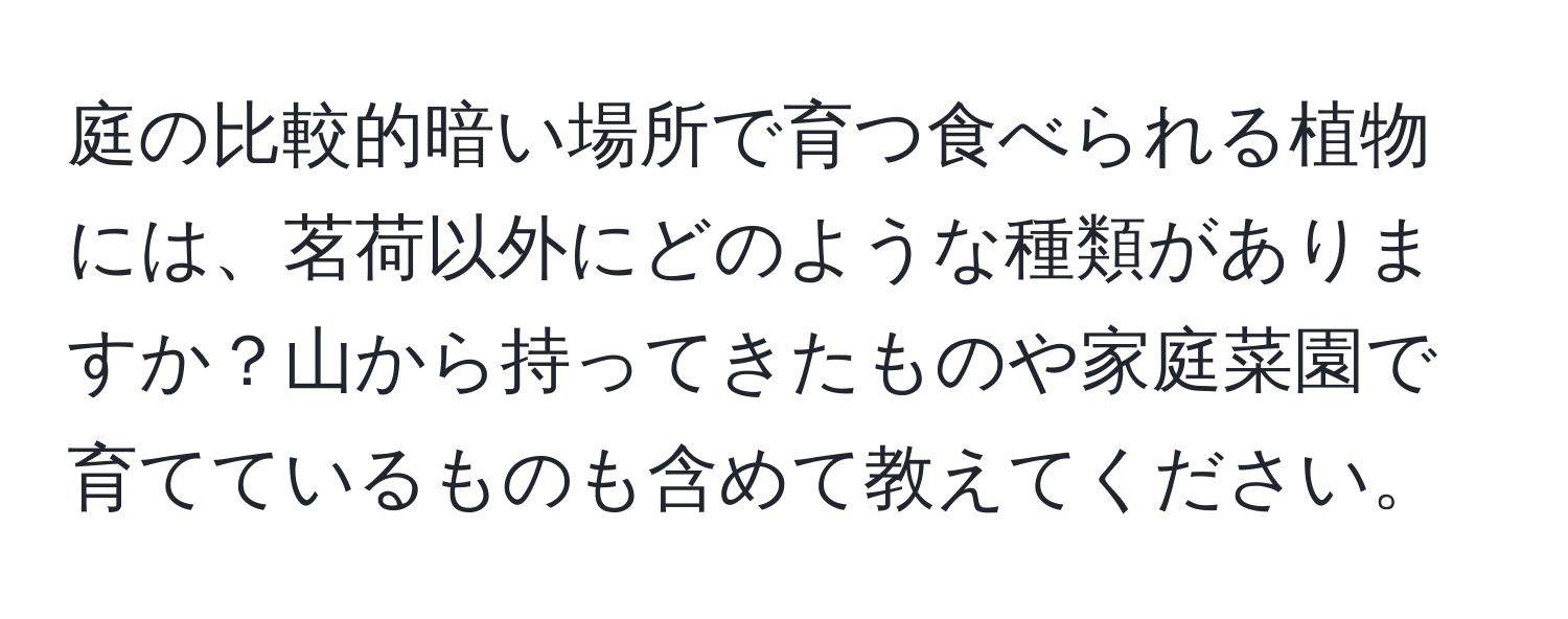 庭の比較的暗い場所で育つ食べられる植物には、茗荷以外にどのような種類がありますか？山から持ってきたものや家庭菜園で育てているものも含めて教えてください。