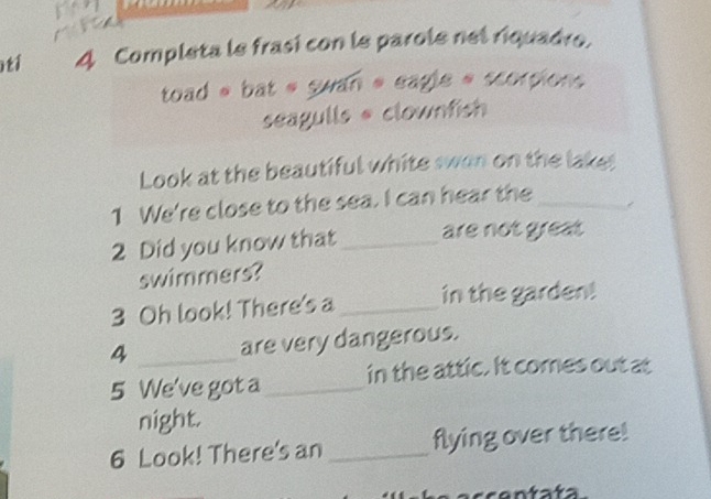 tí A Completa le frasi con le parole nel riquadre. 
toad e bat e swan e eagle e scorpions 
seagulls @ clownfish 
Look at the beautiful white swon on the lake! 
1 We're close to the sea. I can hear the_ 
2 Did you know that_ are not great 
swimmers? 
3 Oh look! There's a _in the garden! 
4 _are very dangerous. 
5 We've got a _in the attic. It comes out at 
night. 
6 Look! There's an _flying over there!