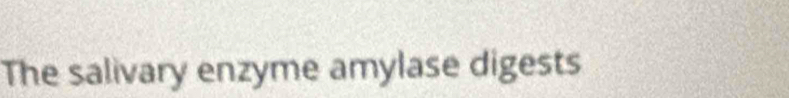 The salivary enzyme amylase digests