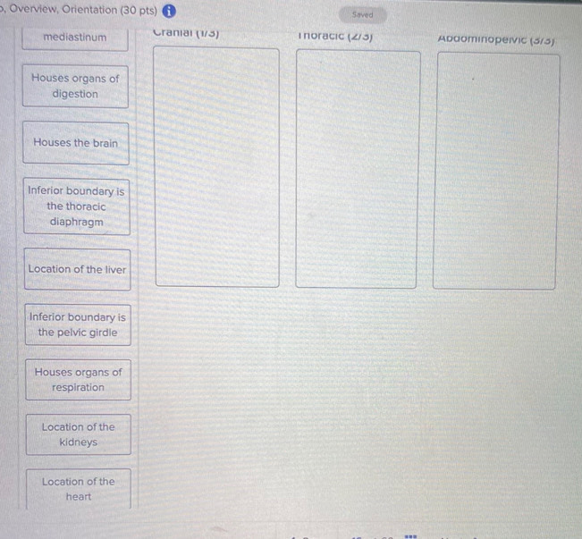 Overview, Orientation (30 pts) Saved 
mediastinum Cranial (1/3) Inoracic (2/3) Addominopeivic (3/3) 
Houses organs of 
digestion 
Houses the brain 
Inferior boundary is 
the thoracic 
diaphragm 
Location of the liver 
Inferior boundary is 
the pelvic girdle 
Houses organs of 
respiration 
Location of the 
kidneys 
Location of the 
heart