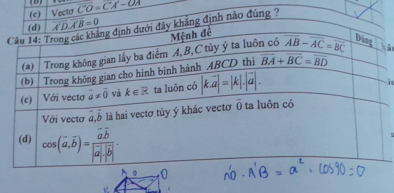 overline C'O=C'A'-OA
à
i