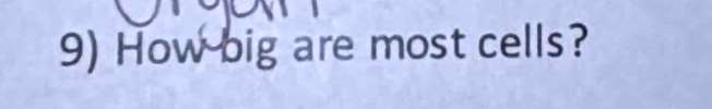 How big are most cells?
