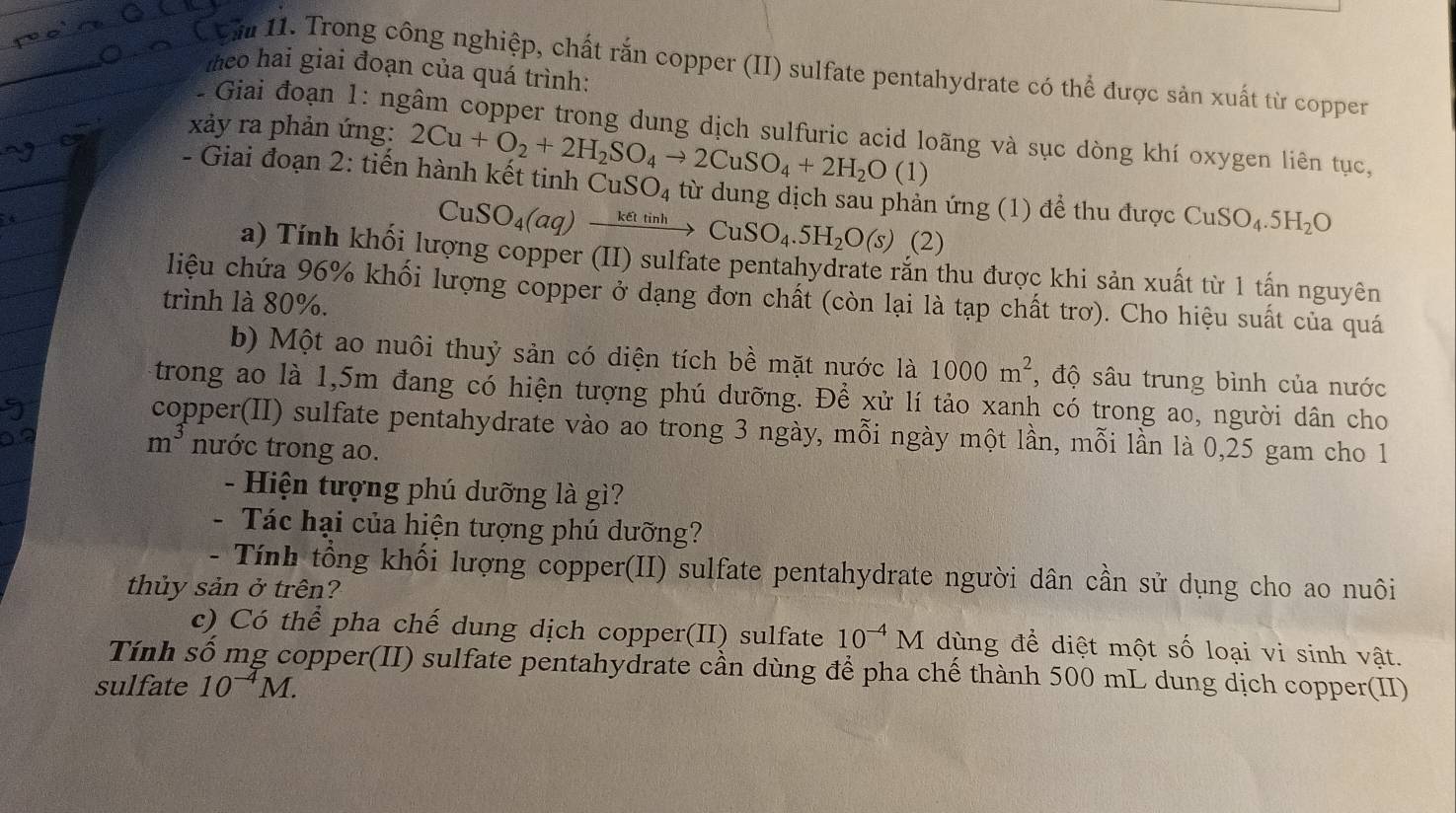 Com II. Trong công nghiệp, chất rắn copper (II) sulfate pentahydrate có thể được sản xuất từ coppe
theo hai giai đoạn của quá trình:
xảy ra phản ứng: 2Cu+O_2+2H_2SO_4to 2CuSO_4+2H_2O(1)
- Giai đoạn 1: ngâm copper trong dung dịch sulfuric acid loãng và sục dòng khí oxygen liên tục,
- Giai đoạn 2: tiến hành kết tinh CuSO_4 từ dung dịch sau phản ứng (1) để thu được CuSO_4.5H_2O
CuSO_4(aq)xrightarrow ketinhCuSO_4.5H_2O(s),(2)
a) Tính khối lượng copper (II) sulfate pentahydrate răn thu được khi sản xuất từ 1 tấn nguyên
liệu chứa 96% khối lượng copper ở dạng đơn chất (còn lại là tạp chất trơ). Cho hiệu suất của quá
trình là 80%.
b) Một ao nuôi thuỷ sản có diện tích bề mặt nước là 1000m^2 , độ sâu trung bình của nước
trong ao là 1,5m đang có hiện tượng phú dưỡng. Để xử lí tảo xanh có trong ao, người dân cho
copper(II) sulfate pentahydrate vào ao trong 3 ngày, mỗi ngày một lần, mỗi lần là 0,25 gam cho 1
m^3 nước trong ao.
-  Hiện tượng phú dưỡng là gì?
- Tác hại của hiện tượng phú dưỡng?
- Tính tổng khối lượng copper(II) sulfate pentahydrate người dân cần sử dụng cho ao nuôi
thủy sản ở trên?
c) Có thể pha chế dung dịch copper(II) sulfate 10^(-4)M dùng để diệt một số loại vi sinh vật.
Tính số mg copper(II) sulfate pentahydrate cần dùng để pha chế thành 500 mL dung dịch copper(II)
sulfate 10^(-4)M.